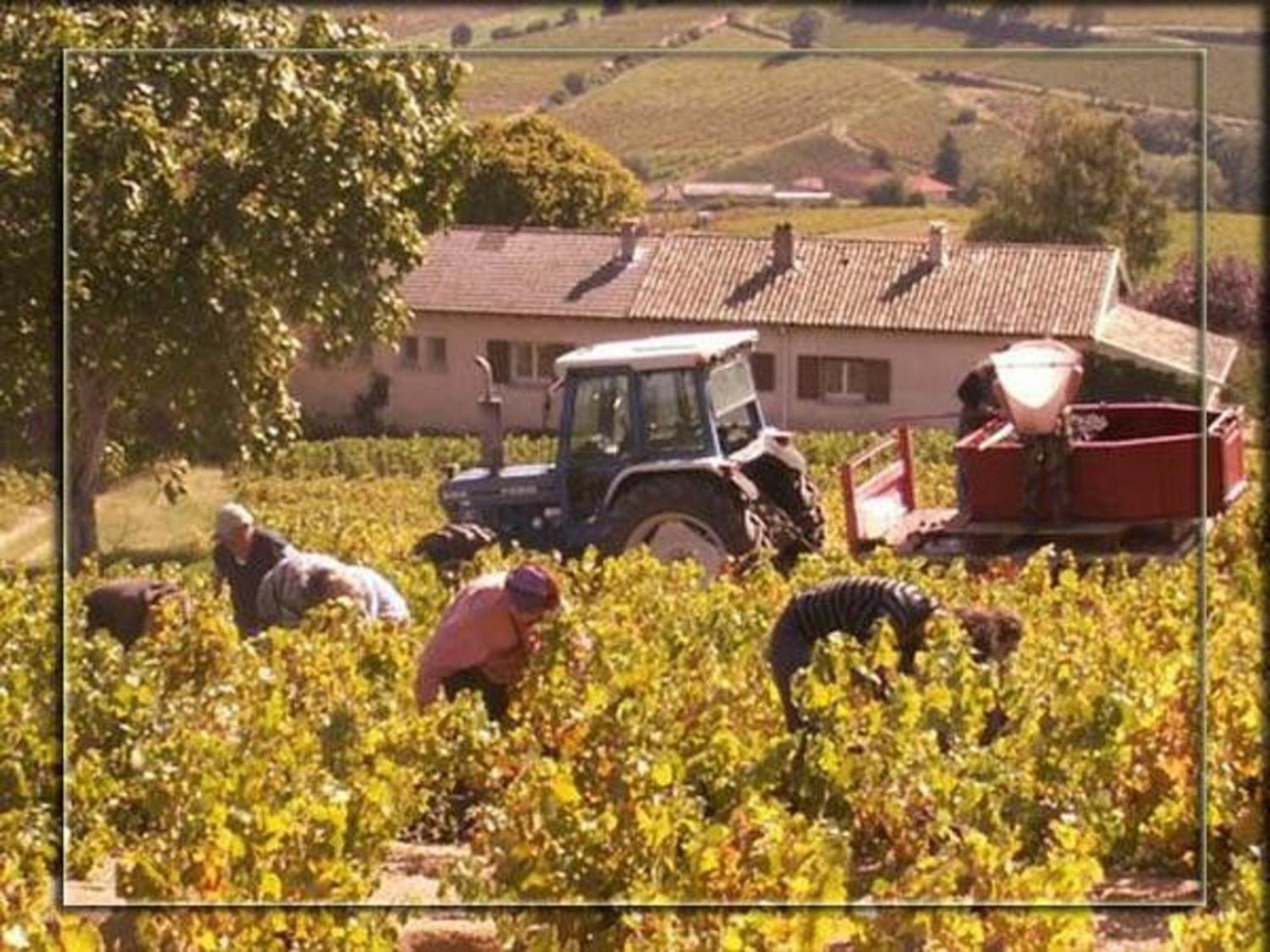 Bed and Breakfast La Croix De Saburin Quincie-en-Beaujolais Екстер'єр фото